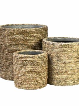 Three UrbanStyle Olive Pot Gloss White XS 18x15cm baskets of varying heights are placed closely together in a staggered arrangement against a gloss white background, embodying an UrbanStyle aesthetic.