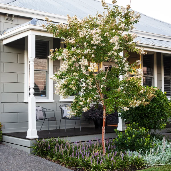 A charming house with a porch and two chairs, surrounded by a blooming tree and manicured garden.