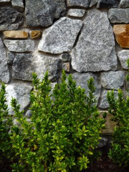 A stone wall with a variety of gray and brown rocks is bordered by lush green shrubs at the base.