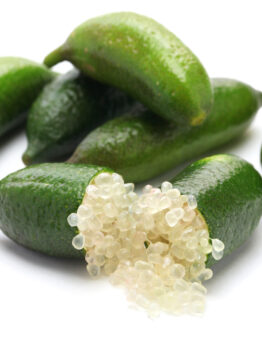 The Citrus 'Judy's Everbearing' Finger Lime, cut open to display its small, round, translucent pearls, highlights the exquisite beauty of this unique citrus fruit against a white background.