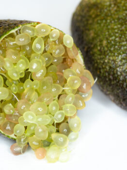 A Citrus 'Gold Pearl' Finger Lime from the "7" Pot" collection sliced in half, with its green and pinkish pulp spilling out like tiny gold pearls, rests on a white surface beside another intact citrus gem.