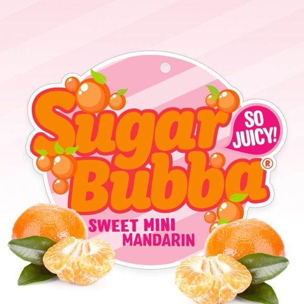 The Citrus 'Sugar Bubba' Mandarin 6" Pot packaging features a vibrant logo with images of whole and peeled mandarins on a pink striped background, beautifully capturing the essence of juicy citrus beauty.