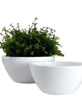 Two white ceramic Eurocolour Calima Pot White S 17x15cm bowls sit elegantly side by side, one showcasing a vibrant green plant against a pristine backdrop, enhancing their serene beauty.