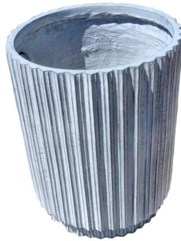 A large, gray round planter with vertical ridges holds an Osmanthus 'Heaven Scent' 7" Pot, infusing any space with its enchanting fragrance.