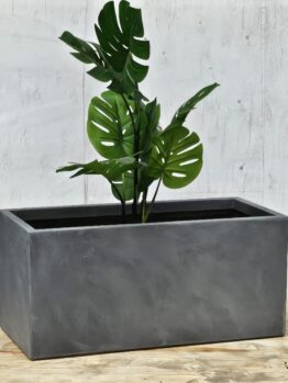 A tall potted plant with large green leaves in a rectangular gray planter, placed on a wooden surface against a textured light background.