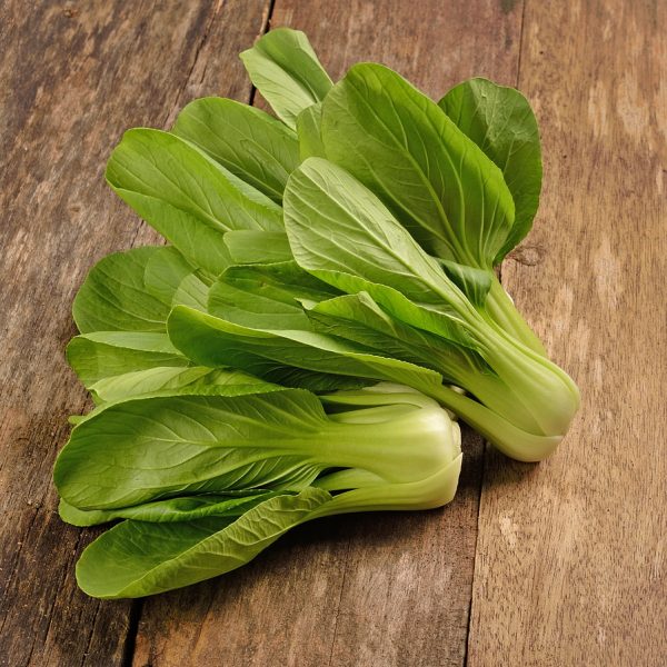 Two vibrant Pak Choi 'Green' plants in 4" pots sit on a wooden surface, their crisp green leaves and white stalks perfect for adding flavor and nutrition to your favorite recipes.