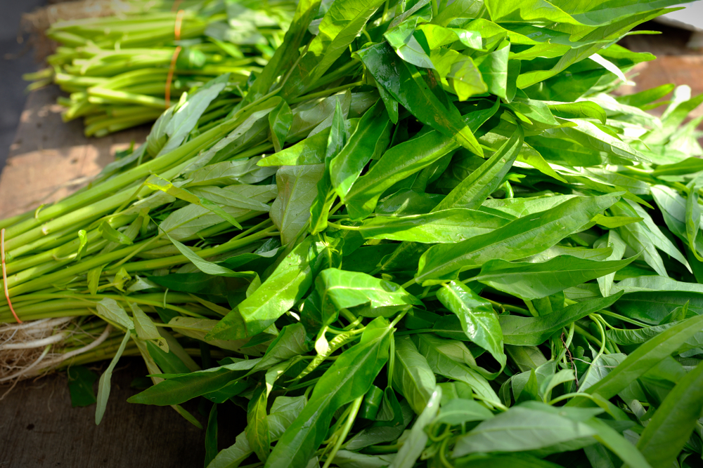 Freshly picked Ipomoea 'Kang Kong' with long stems and leaves lay on a wooden surface.