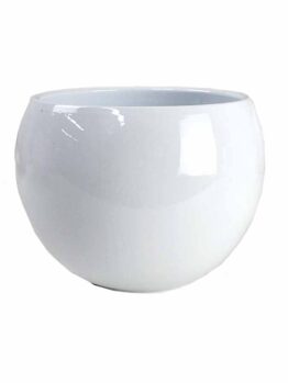 A round, glossy white ceramic pot with a smooth surface, photographed against a plain white background.