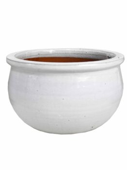 A round, moss green Glazed Flat-Rim Bowl (20x12cm) with a wide opening and slightly flared rim, set against a plain white background.