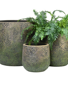 Three textured, moss-green ceramic pots in different sizes; the medium pot contains a leafy green fern.
