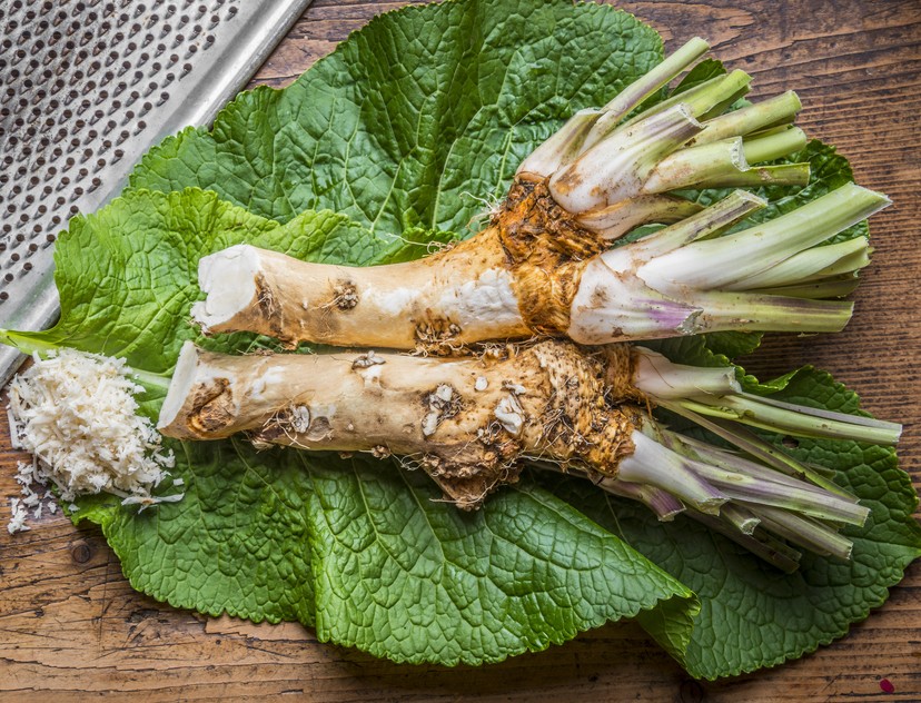Horseradish