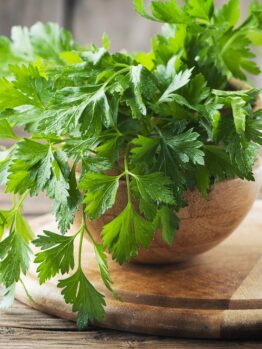Parsley 'Italian Flat-Leaf' 4" Pot