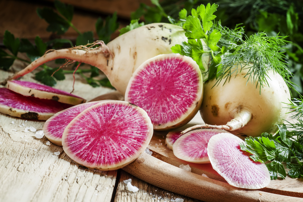 Radish 'Watermelon' 4" Pot