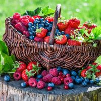 Berries & Currants