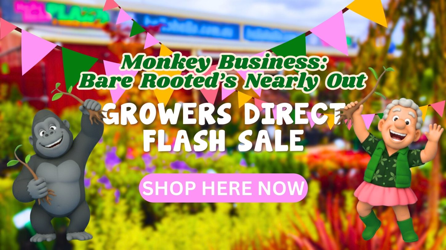 growers direct flash sale
