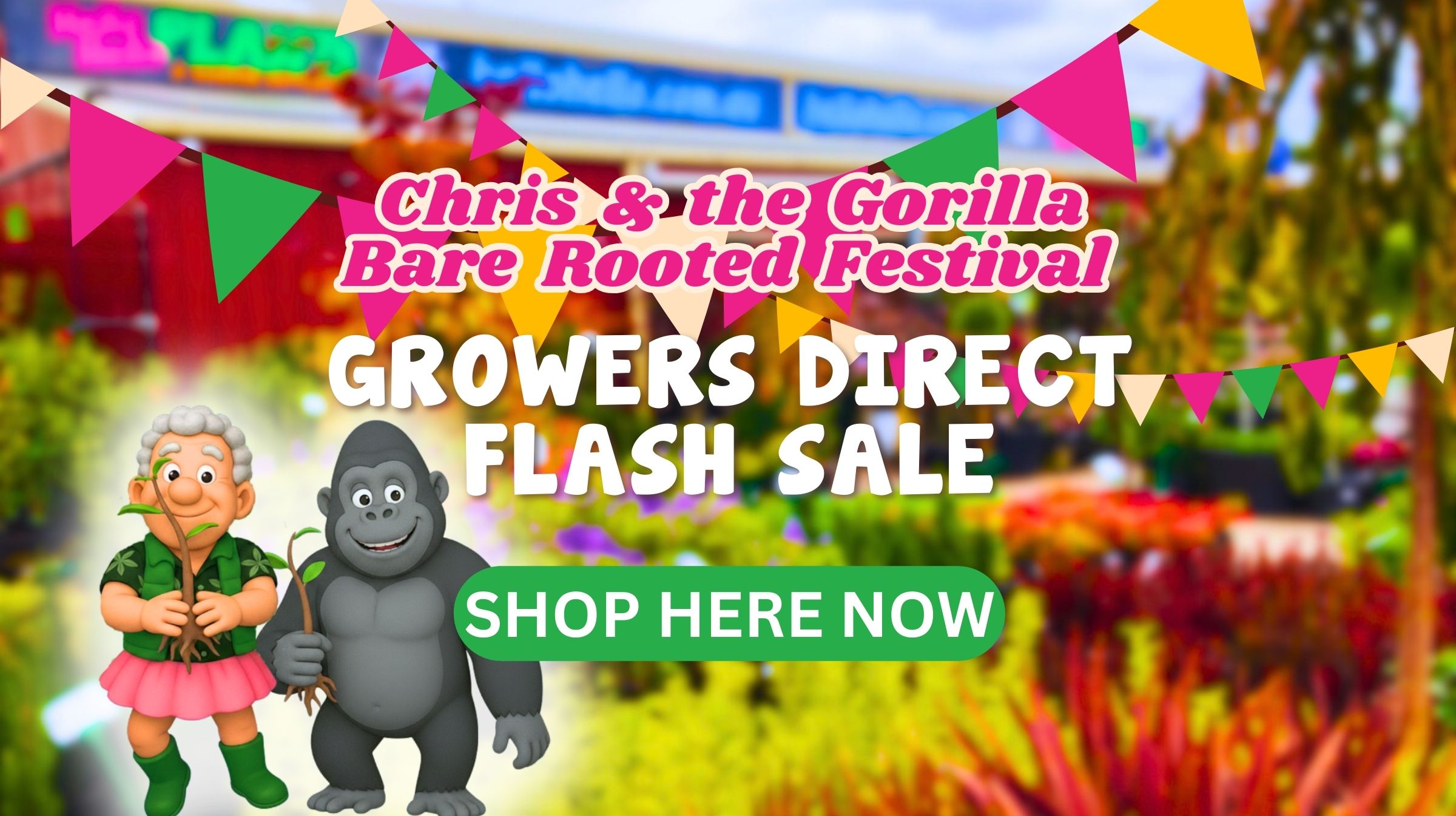 Banner for "Chris & the Gorilla Bare Rooted Festival" with cartoon characters, colourful bunting, and bold text highlighting a Flash Sale from growers direct, plus a “Shop Here Now” button.