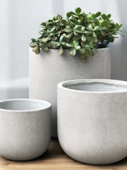 Three minimalist grey concrete planters sit on a wooden surface; the largest contains a green succulent, while the other two planters are empty.