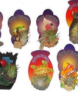 Six assorted 'Tillandsias Air Plant' Fridge Magnets feature animal designs such as cats, frogs, tortoises, fish, and ladybirds. Each is labelled "Cool Critters" or "Funky Friends" and holds a small air plant; some also serve as quirky fridge magnets.