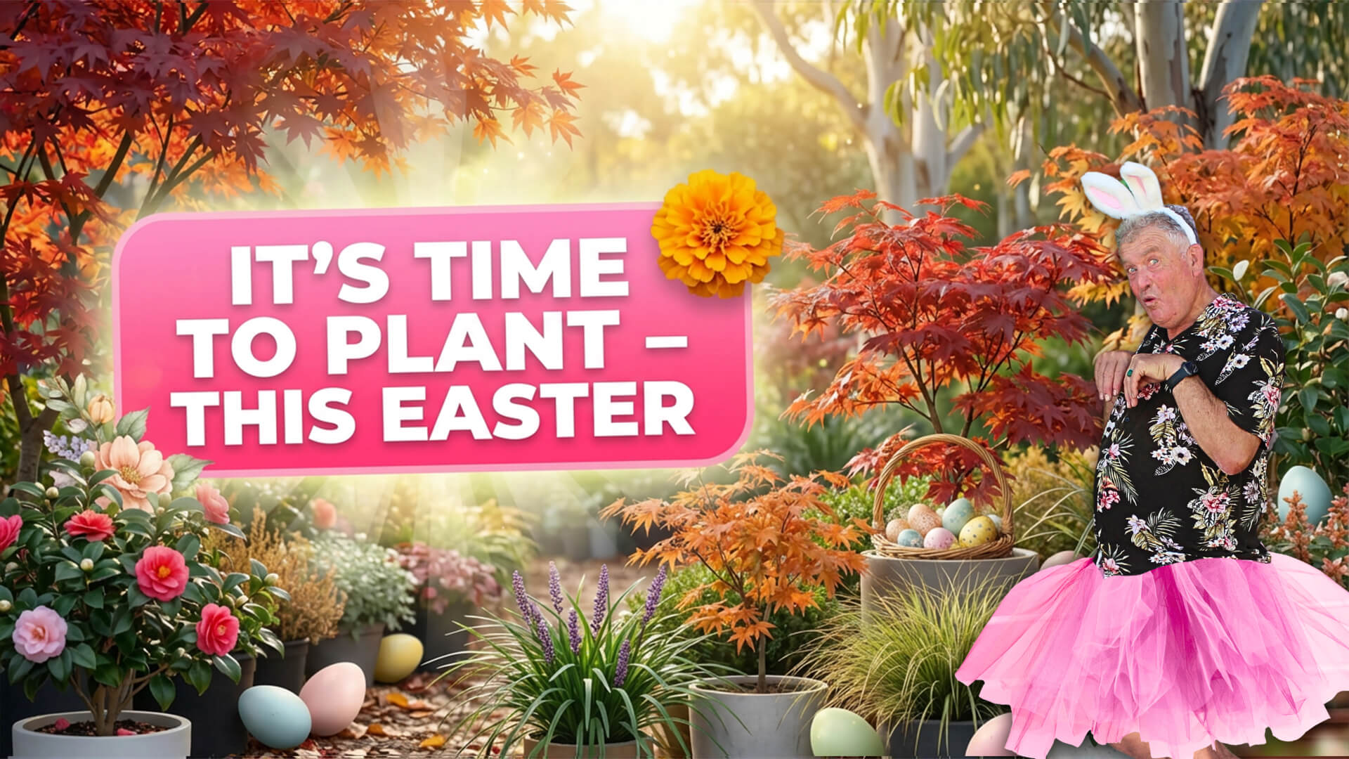 A man in a pink tutu and bunny ears stands in a colourful garden with Easter eggs outside a Plant Nursery; a sign reads, "It's time to plant – this Easter.