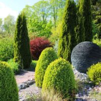 Plant Types