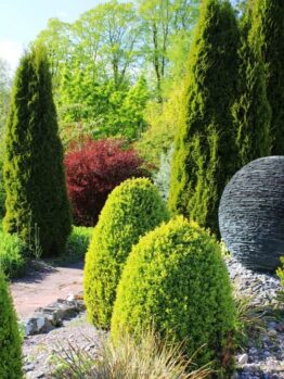 Plant Types