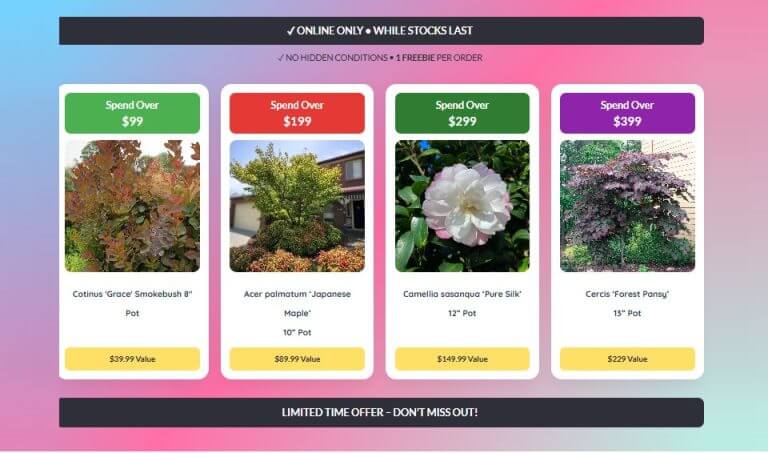Four promotional Plant Nursery offers displayed by price tiers: over £99 (smokebush), £199 (maple), £299 (camellia), and £399 (redbud), each featured with an image and value.