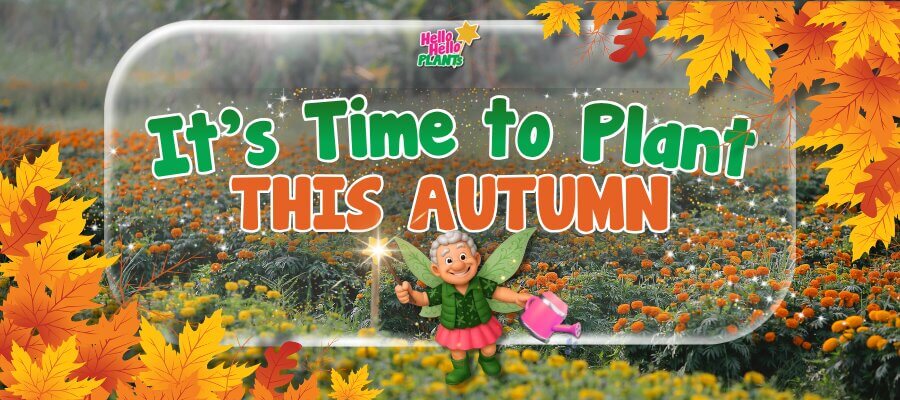 A cartoon fairy holding a wand and a watering can stands in front of marigold flowers with text: "It's Time to Plant Autumn Plants THIS AUTUMN," surrounded by illustrated autumn leaves.
