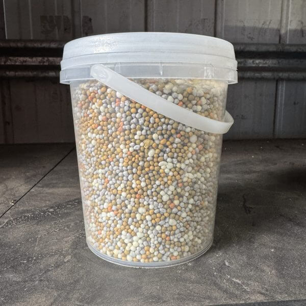 A clear bucket of Fertiliser Slow Release 1kg, filled with multicoloured granular pellets, sits on a dusty surface in front of a corrugated metal wall.