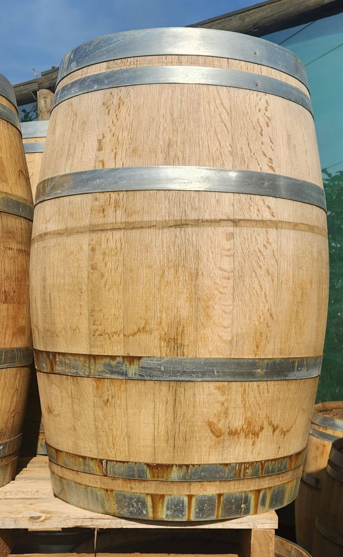 A Wine Barrel (Whole) with metal bands is standing upright on a wooden pallet outdoors.