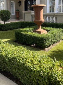 A formal garden with neatly trimmed hedges, a square lawn area, and a large decorative urn on a plinth in front of an elegant building.