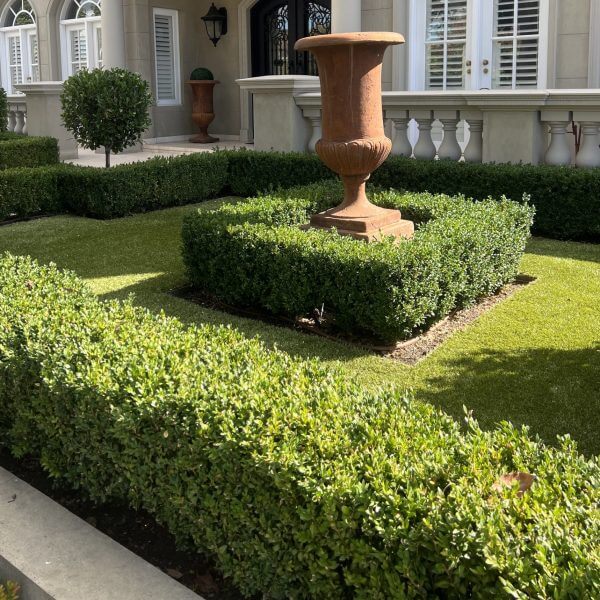 A formal garden with neatly trimmed hedges, a square lawn area, and a large decorative urn on a plinth in front of an elegant building.